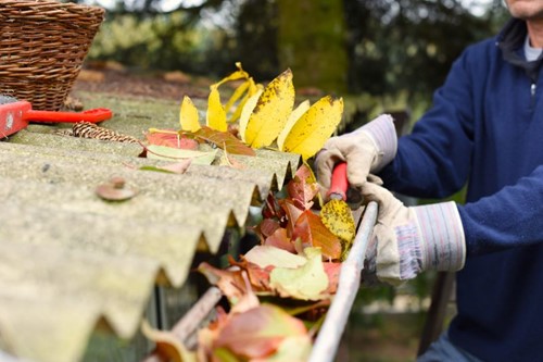 Man in a blue fleece and gardening gloves cleaning colorful fall leaves from the gutter of a metal roof, with a wicker basket and hand broom beside him