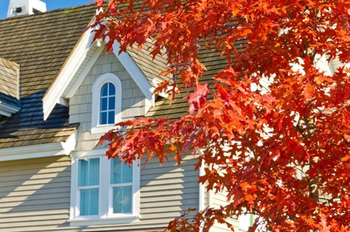 Close-up of a roof and window on a house with beige siding, with a maple tree displaying bright red leaves in the foreground